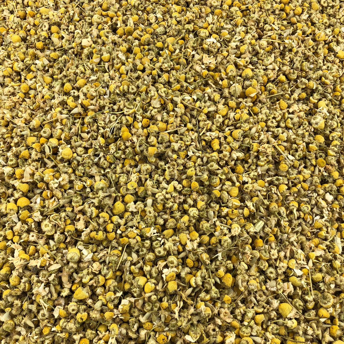 Camomille Bulgare En Vrac - Fleur Seule, Qualité Supplément, Naturelle