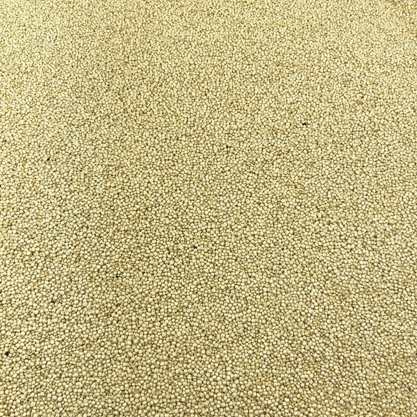 Quinoa Blanc Bio en Vrac sur vracbio.com