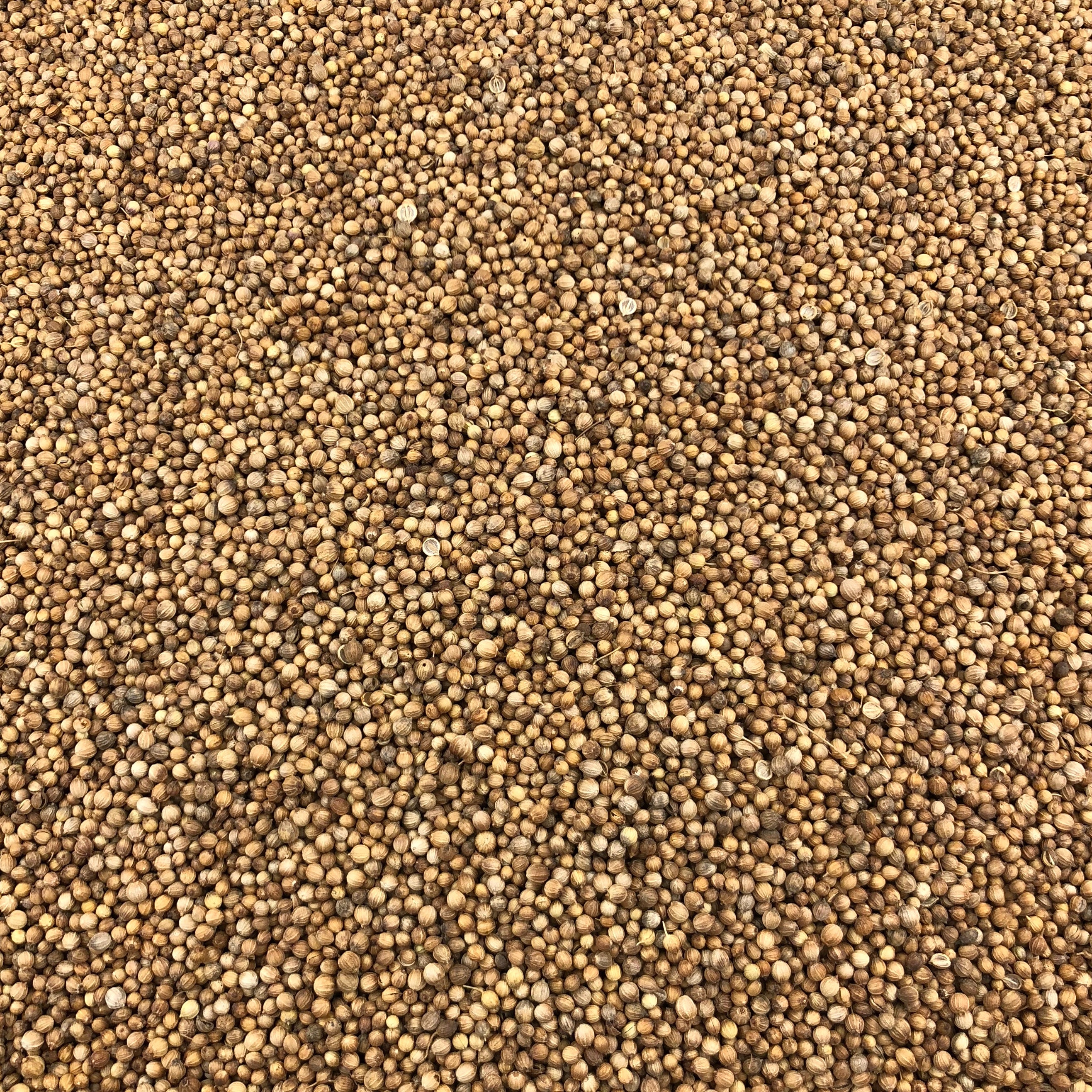 Coriandre en poudre bio: Acheter les graines de coriandre moulues