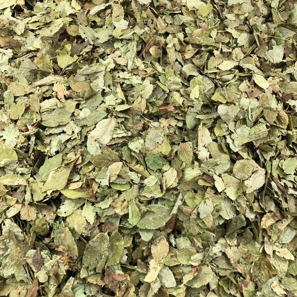 myrtille feuilles bio en vrac vracbio.com